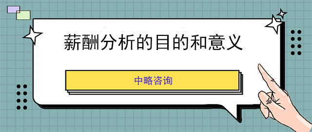 薪酬分析的目的和意義