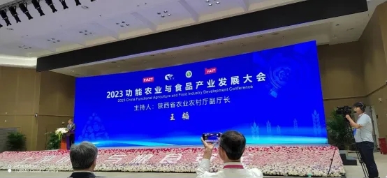 2023 2023